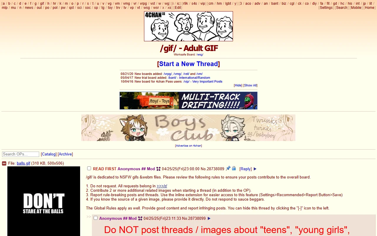 Screenshot of 4Chanadultgif